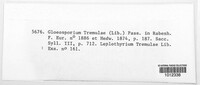 Titaeosporina tremulae image